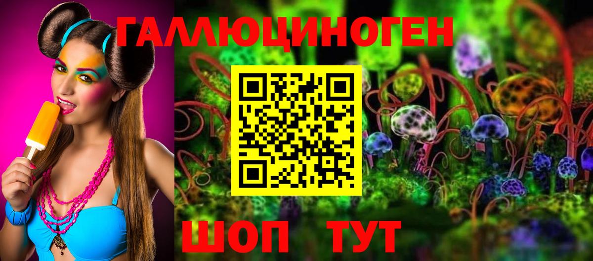 Курганинск  Галлюциногенные грибы Cubensis  Вход с VPN 
