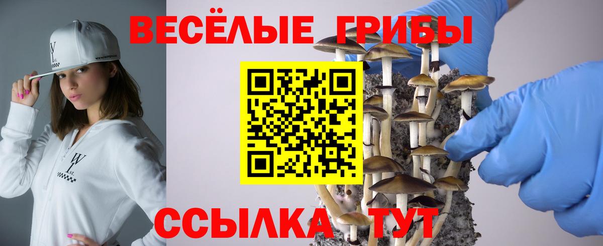 Галлюциногенные грибы мицелий Курганинск